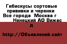 Гибискусы сортовые, прививки и черенки - Все города, Москва г.  »    . Ненецкий АО,Вижас д.